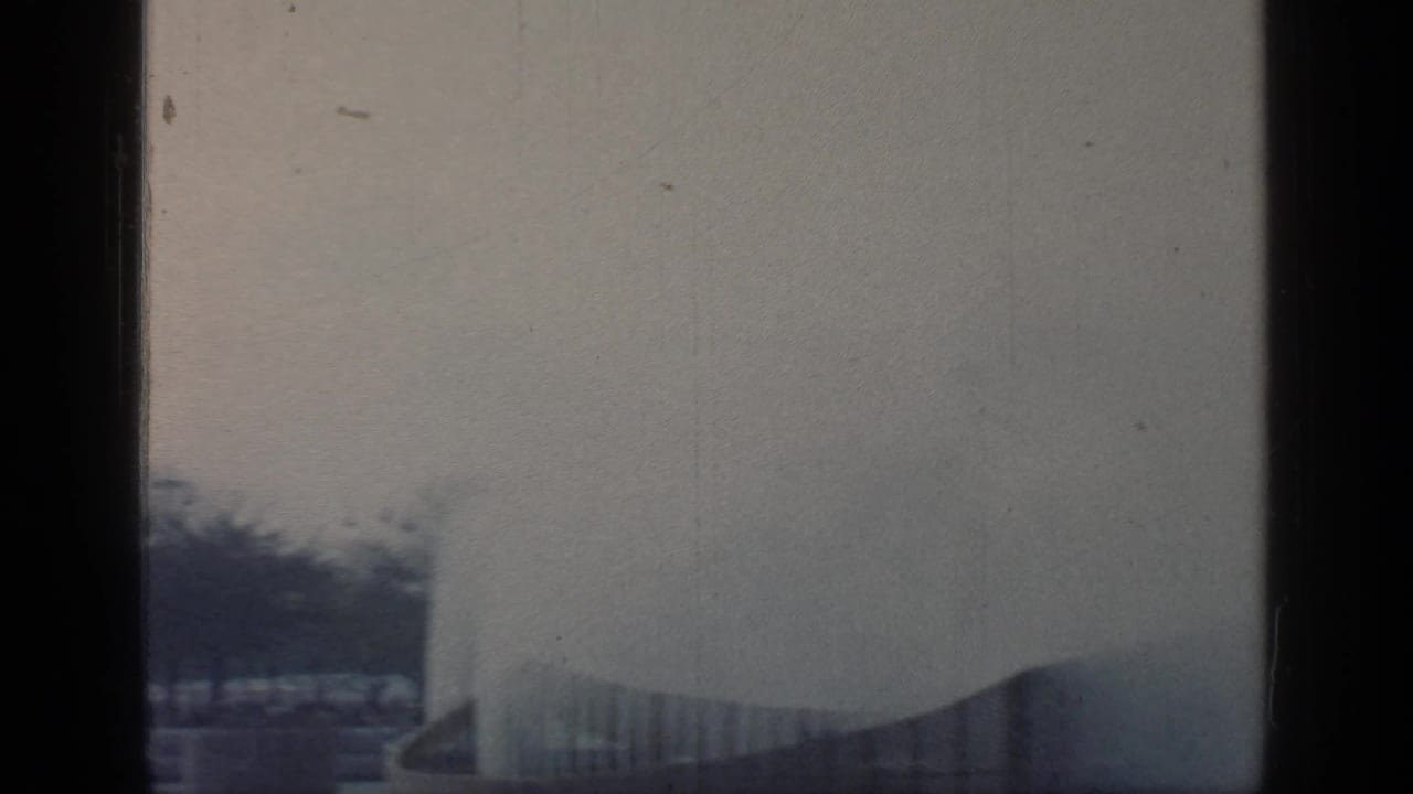 Distant fairground structures and trees under a gray sky.