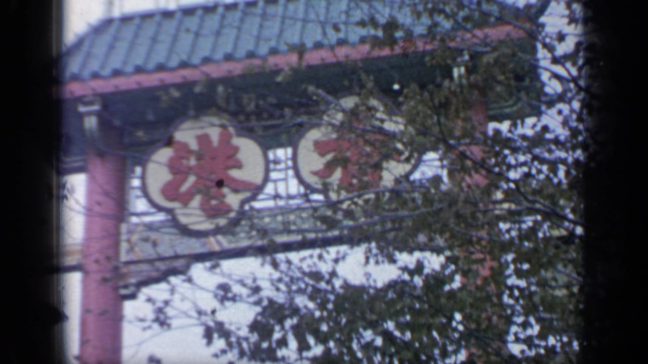 Decorated archway with Chinese characters and branches in front.