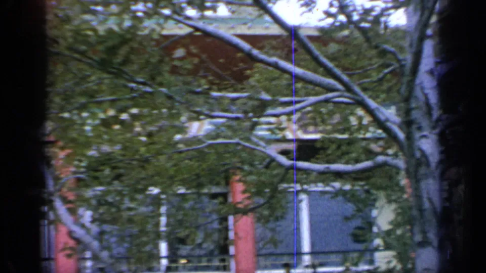 The final frame holds on branches and a tree trunk before the pavilion facade, with red pillars and dark windows still visible.