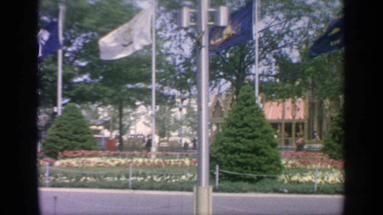 Blue and pale flags above flower beds with evergreens and a building behind them.