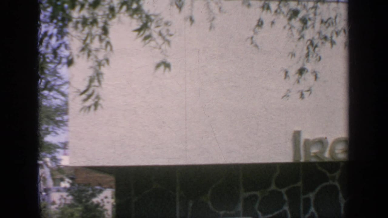 Ireland lettering on a pale wall partly framed by overhanging tree branches.
