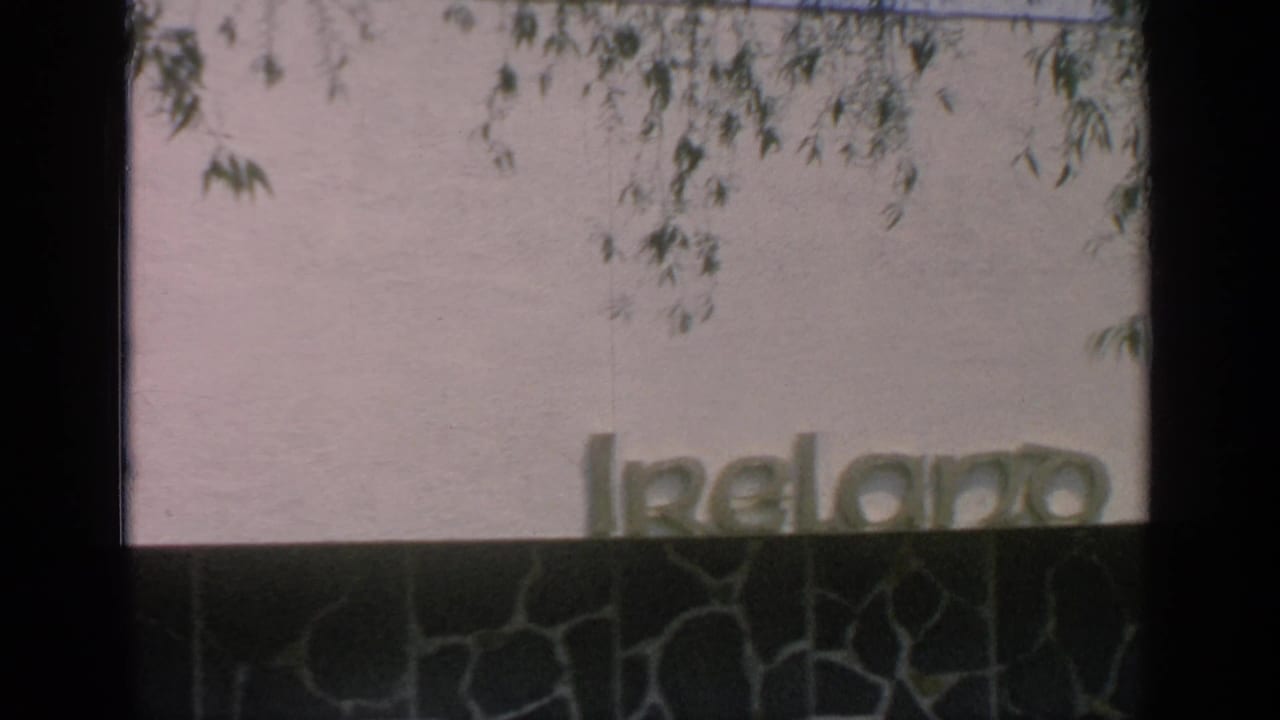 Partial Ireland sign on a pale wall with tree leaves across the top of the frame.