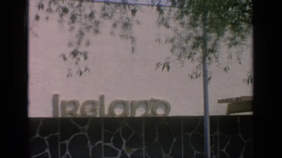 1964 World's Fair view of the Ireland lettering, pale wall, dark stone base, pole, and tree branches in the foreground.