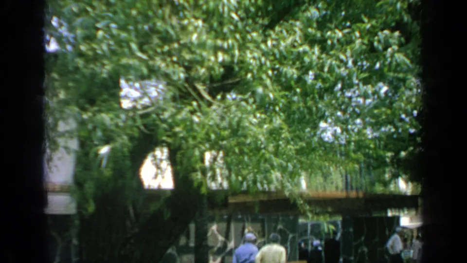 1964 Flushing Meadows scene viewed through dense trees, with pedestrians near a low modern structure.