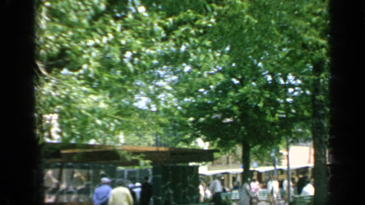 Pedestrians walk near trees and a modernist building edge in bright daylight.