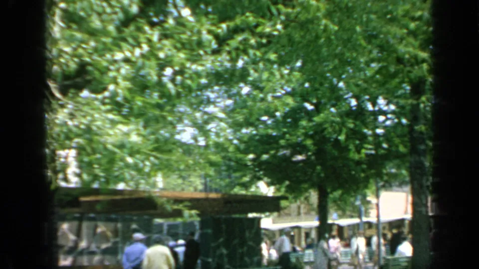 Tree-framed Flushing Meadows view with small groups of visitors near modern fairground architecture.