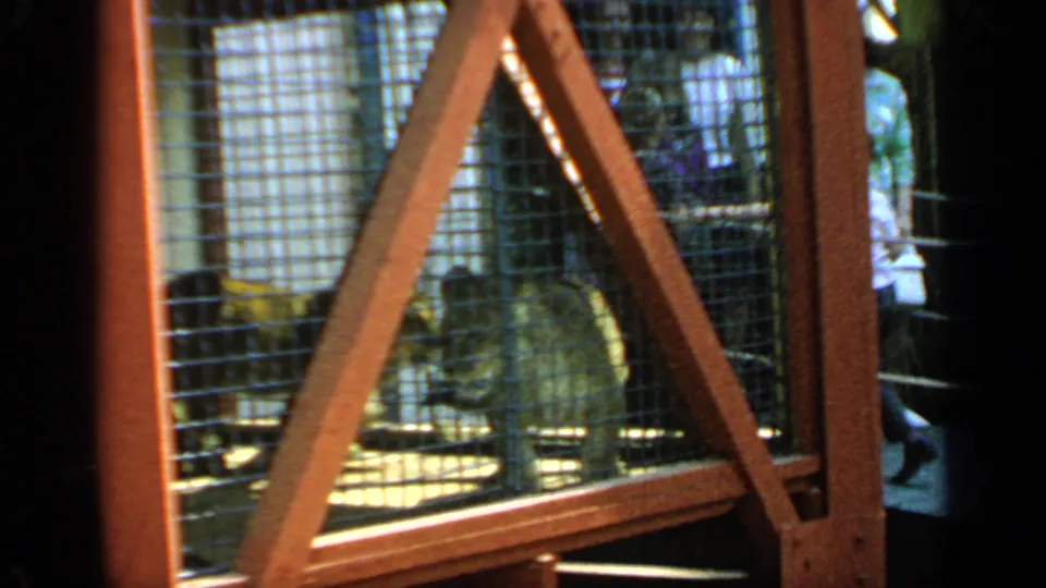 1964 Flushing Meadows frame showing a monkey inside a wire enclosure, partly obscured by a red-brown structural brace and cage mesh.