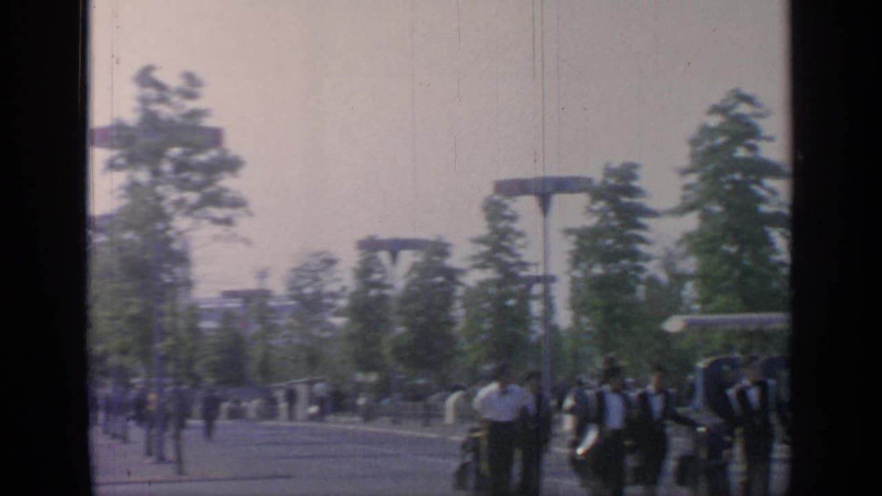 Visitors walking along a fairground path with trees, light poles, and distant structures.
