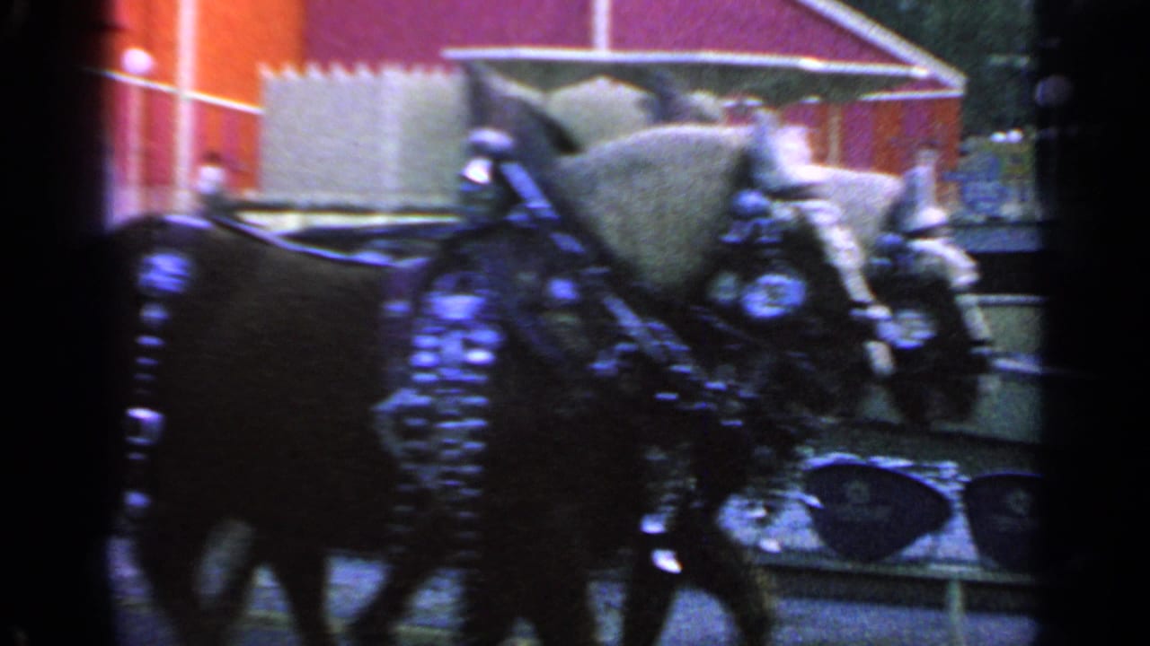 Brown horses and harness gear pass in front of blue seats and a red building.