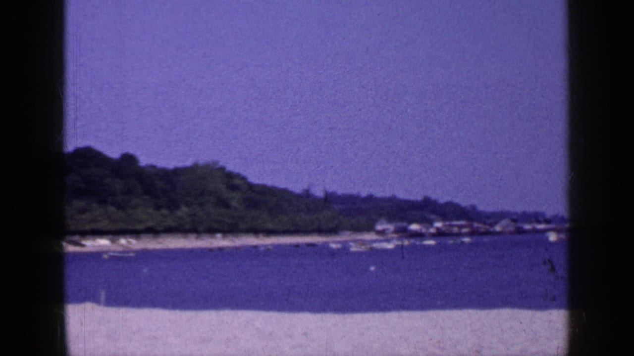 Calm water beside a sandy shore with small boats and a wooded shoreline in the distance.