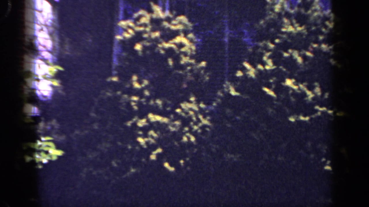 Nighttime 8mm frame from a 1965 Long Island home movie showing dark shrubs beside a brick suburban house exterior.