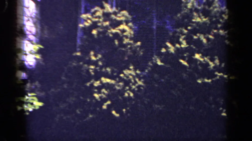 Nighttime 8mm frame from a 1965 Long Island home movie showing dark shrubs beside a brick suburban house exterior.