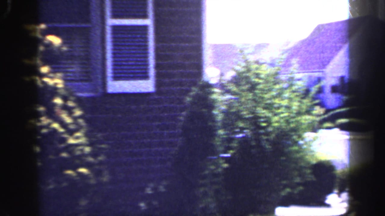 Bright daytime 1965 Long Island exterior showing brick siding, white shutters, garden shrubs, and nearby suburban houses in the background.