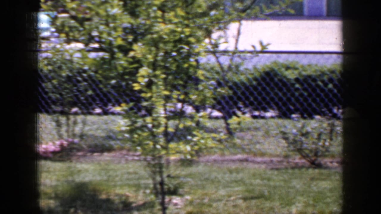 Suburban lawn and chain-link fence seen through a dark window frame.