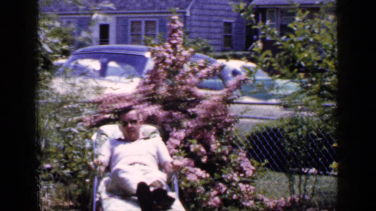 A man in sunglasses relaxes in a lawn chair in a 1965 Long Island yard, partly obscured by a pink flowering bush.