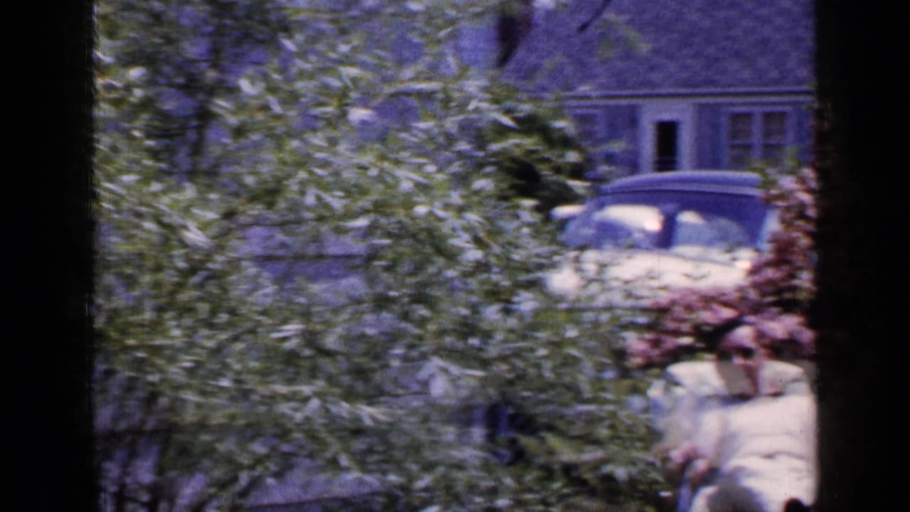 A leafy 1965 Long Island yard view partly hides the seated man, with a chain-link fence, parked cars, flowers, and a shingled house still visible.