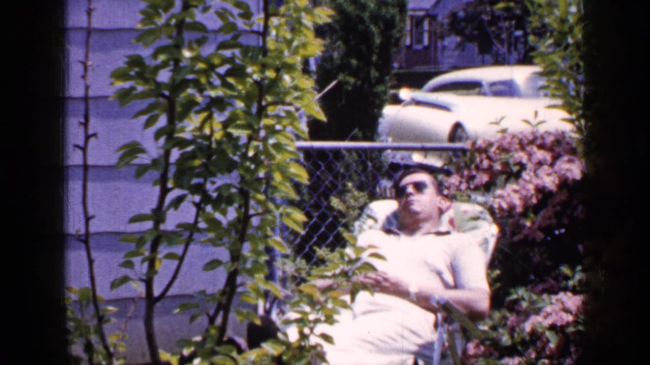 In a 1965 Long Island backyard, a man wearing sunglasses reclines in a lawn chair beside leafy plants, pink flowers, a chain-link fence, and a parked light-colored car.