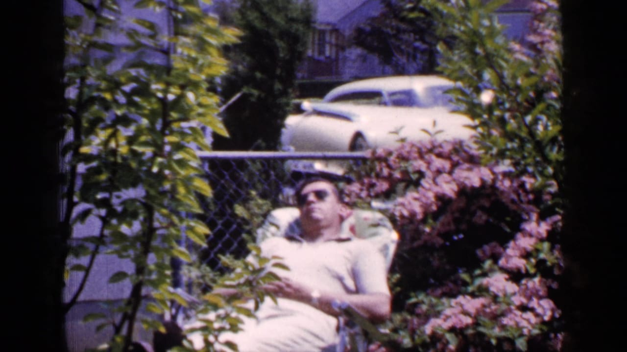 The final frame shows the man still reclining in a Long Island backyard in 1965, surrounded by dense greenery, pink flowering bushes, a chain-link fence, and a light-colored car behind him.