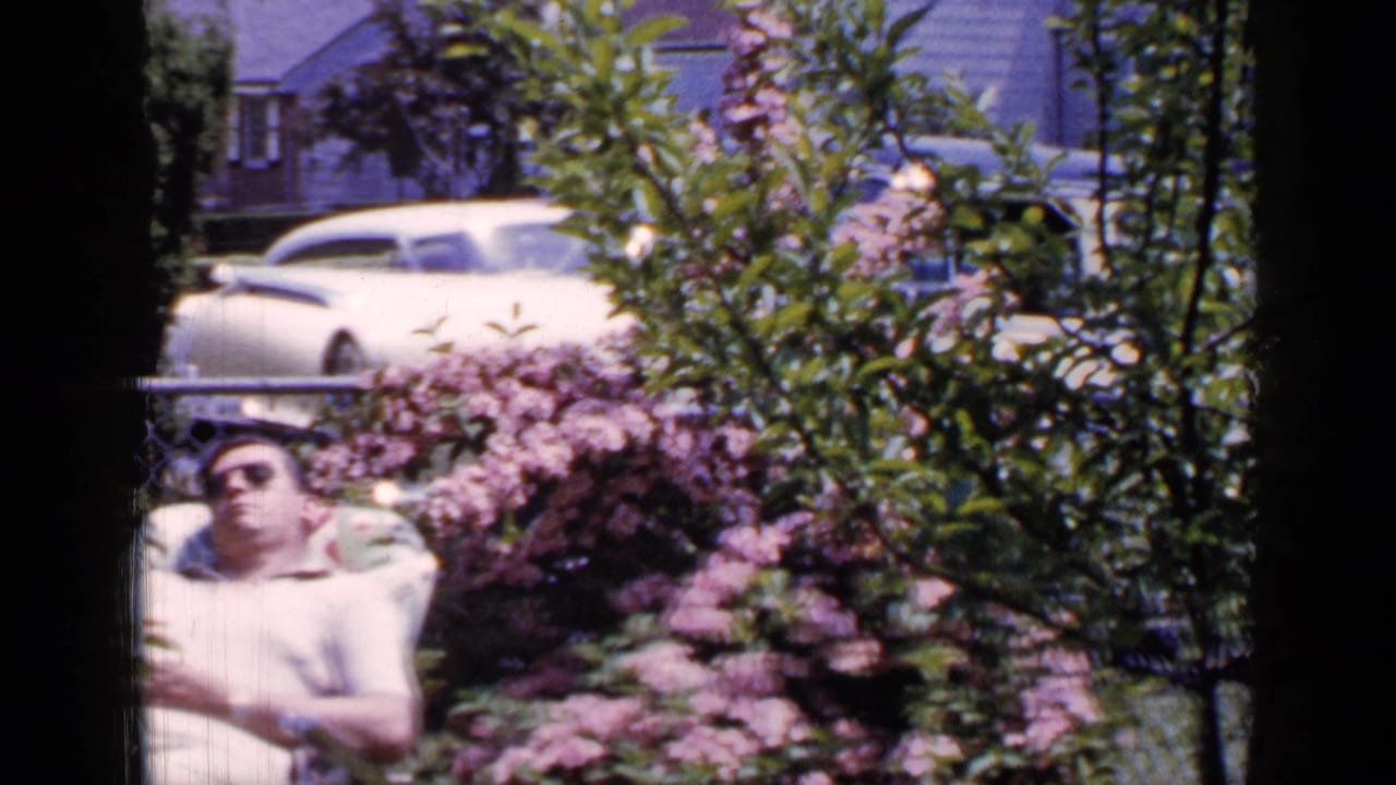 Man reclines in a backyard lounge chair with flowering shrubs and parked cars visible beyond a fence.