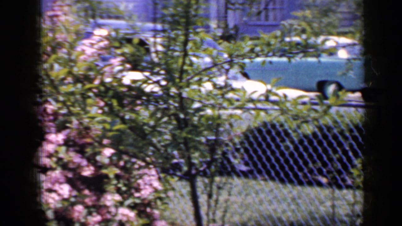 The view shifts away from the seated man toward the fenced yard, pink flowers, trees, grass, and 1960s cars along a Long Island street.