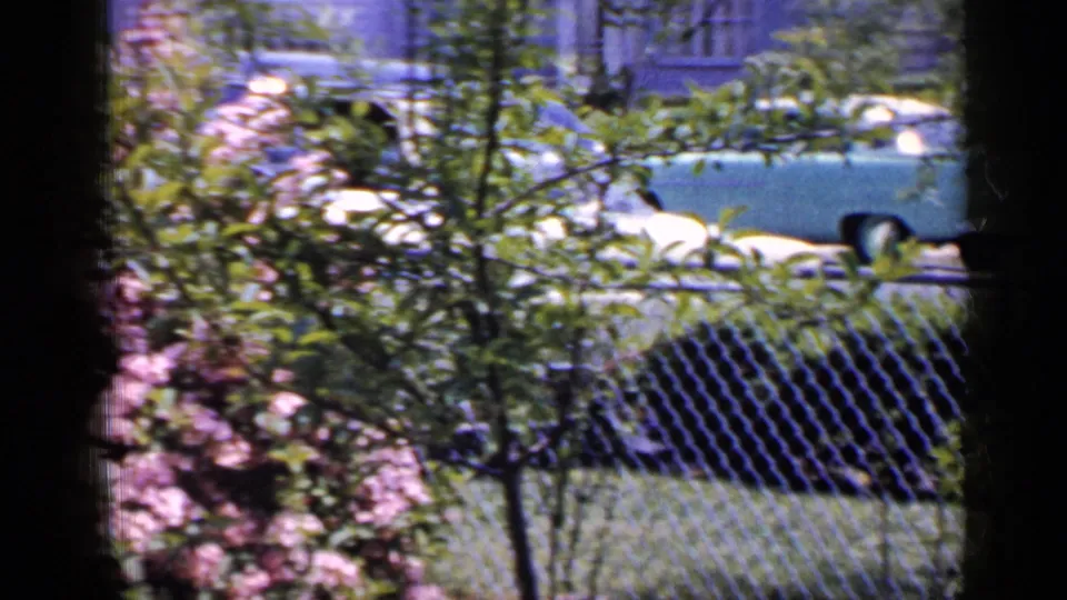 The view shifts away from the seated man toward the fenced yard, pink flowers, trees, grass, and 1960s cars along a Long Island street.