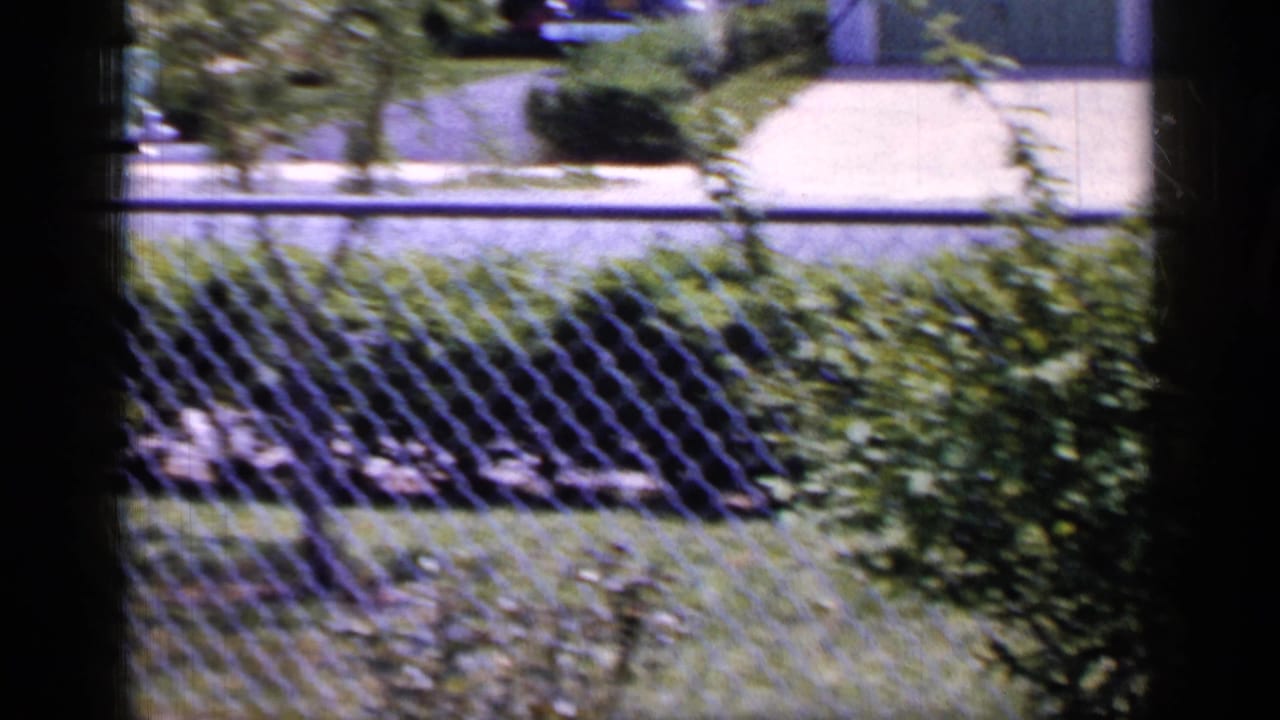 1965 Long Island home-movie frame showing a suburban yard, chain-link fence, hedges, lawn, and dark vertical window-frame edges in the foreground.