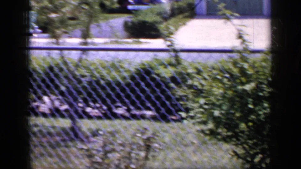 1965 Long Island home-movie frame showing a suburban yard, chain-link fence, hedges, lawn, and dark vertical window-frame edges in the foreground.