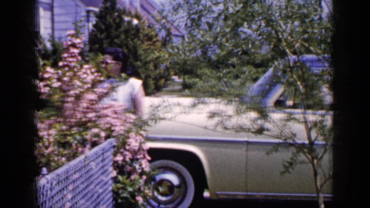 1965 Long Island home-movie frame with a woman partly obscured by pink flowering bushes, standing by a cream-colored car behind a chain-link fence.