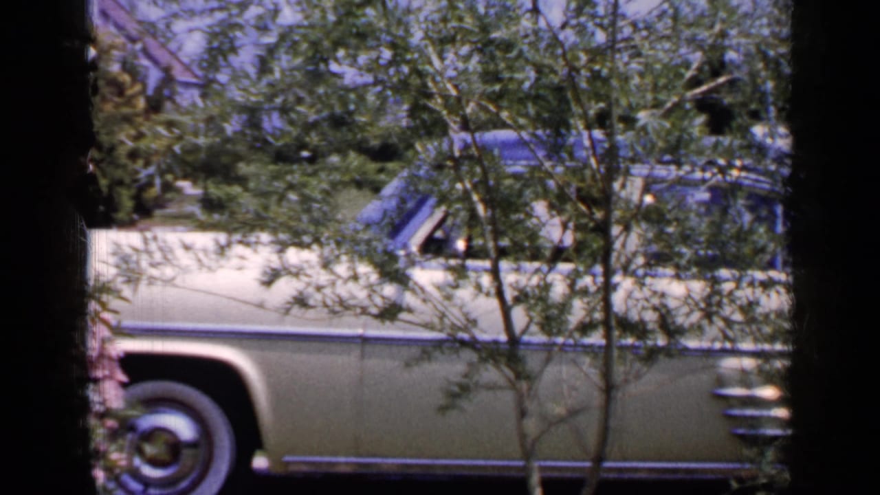 1965 Long Island frame showing the side of a cream-colored vintage car behind leafy branches, with yard plantings and dark frame edges around the view.