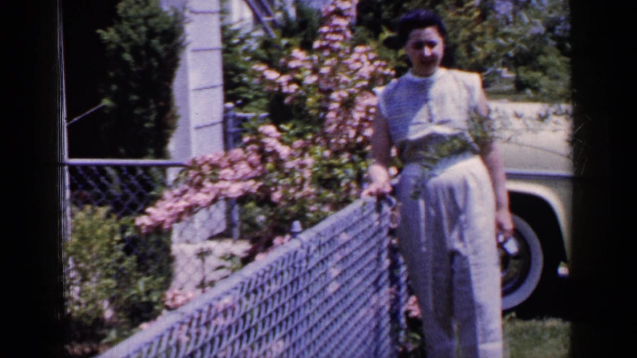 Woman standing by a chain-link fence in a sunny suburban yard with flowering bushes and a parked car behind her.