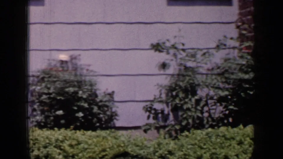 1965 Long Island exterior frame showing grey siding, low hedges, taller shrubs, and the edge of the home-movie film frame.