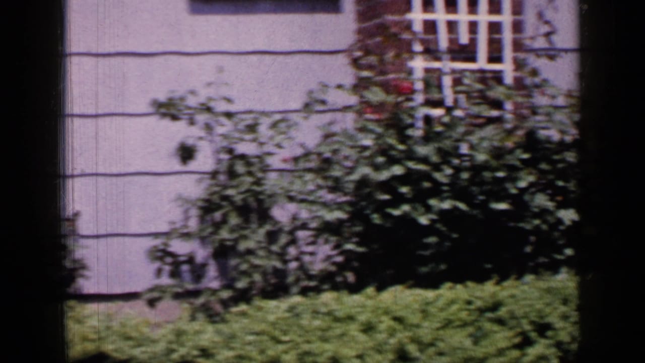 Pale house wall with shuttered window, shrubs, hedge, and dark window-frame bars.