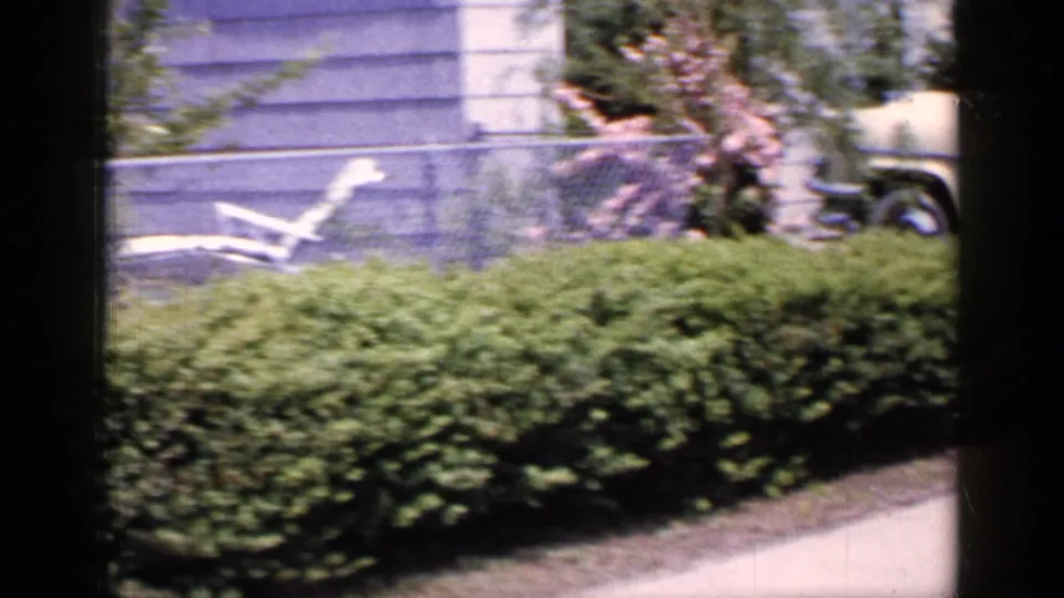 1965 Long Island frame showing a hedge by the sidewalk, chain-link fence, pale house wall, tree trunk, and partial older car in the background.