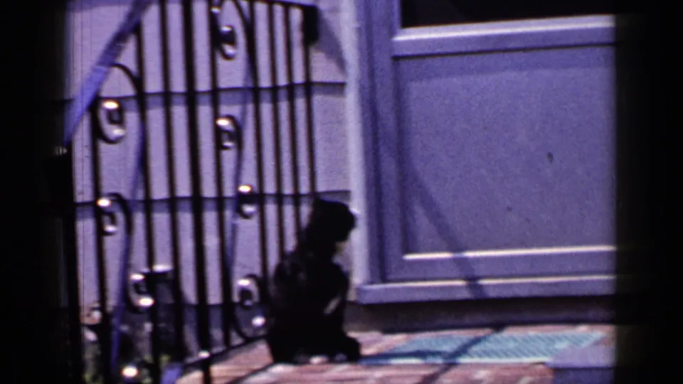 In this 1965 Long Island 8mm frame, the cat sits low beside the iron railing, with the front door and doormat behind it.