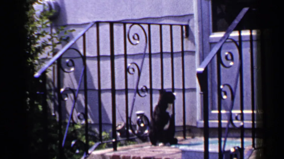 The cat sits partly framed by black wrought iron railings on a brick porch in 1965 Long Island home-movie footage.
