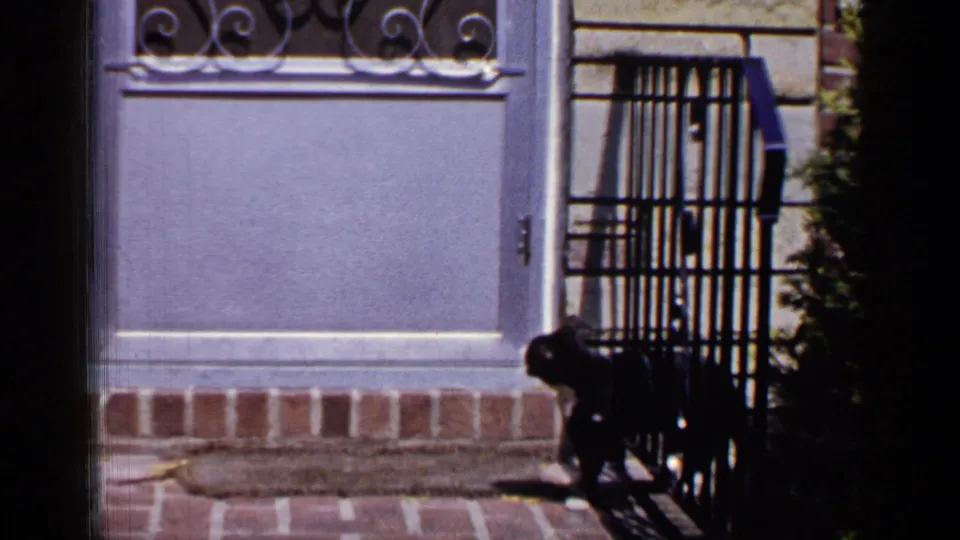 The cat walks along the brick porch edge below the pale door and ironwork in the 1965 home-movie shot.