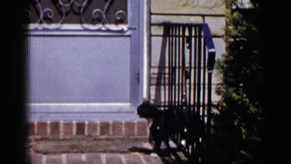The black and white cat continues walking near the porch railings outside a Long Island residence in 1965 footage.
