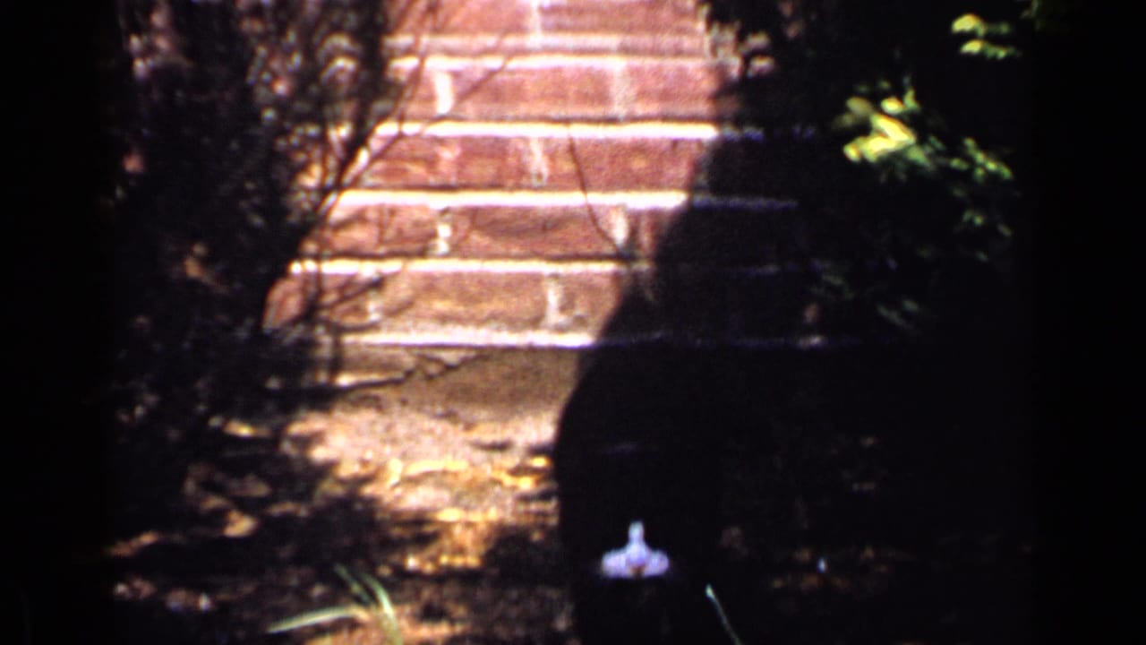 Brick garden steps and a shadowed path with shrubs around the walkway.