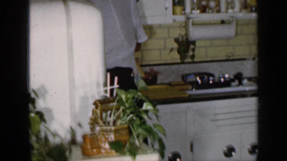 1965 Long Island home interior showing a man from behind at the stove, with a potted plant, containers, and patterned kitchen wall nearby.