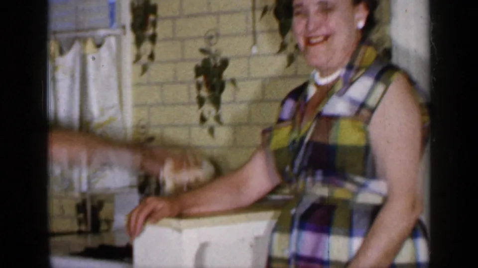 A smiling woman in a plaid dress stands near the counter in a 1965 Long Island kitchen with yellow tile and cafe curtains.