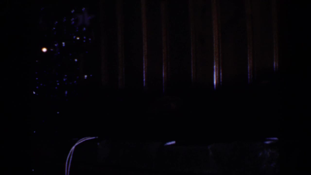 Very dark room with a faint Christmas tree and wood-paneled wall.