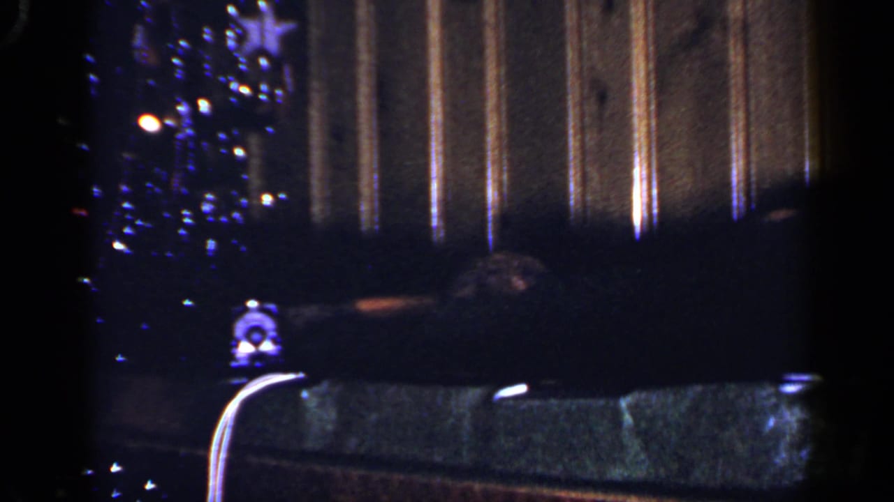 Low-light 8mm view of a Long Island Christmas tree, dark sofa or chair, and vertical paneling in a private interior.