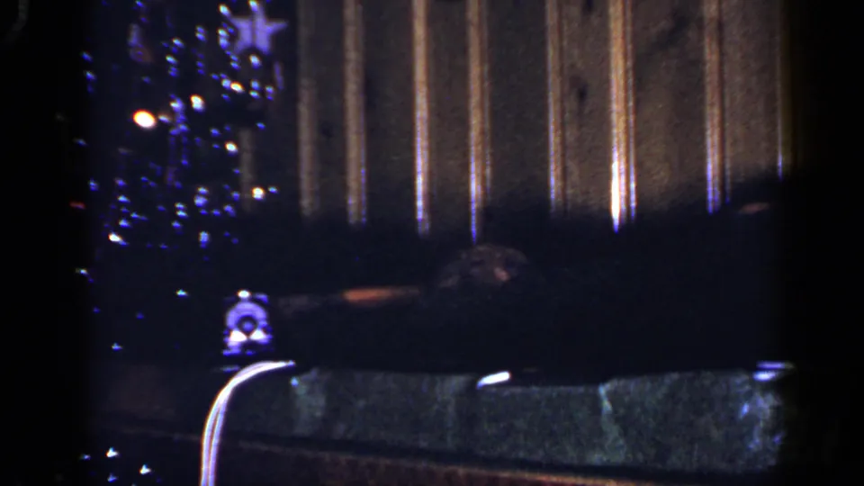 Low-light 8mm view of a Long Island Christmas tree, dark sofa or chair, and vertical paneling in a private interior.