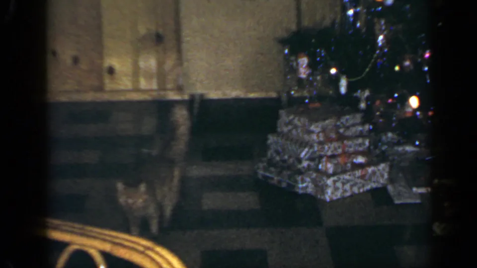 Tabby cat crosses a 1965 Long Island holiday interior near wrapped presents and a lit Christmas tree.