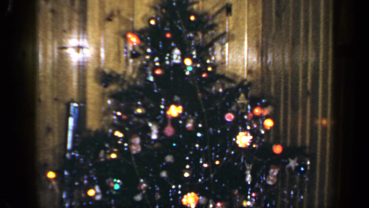 Decorated Christmas tree with colored lights against wood-paneled walls.