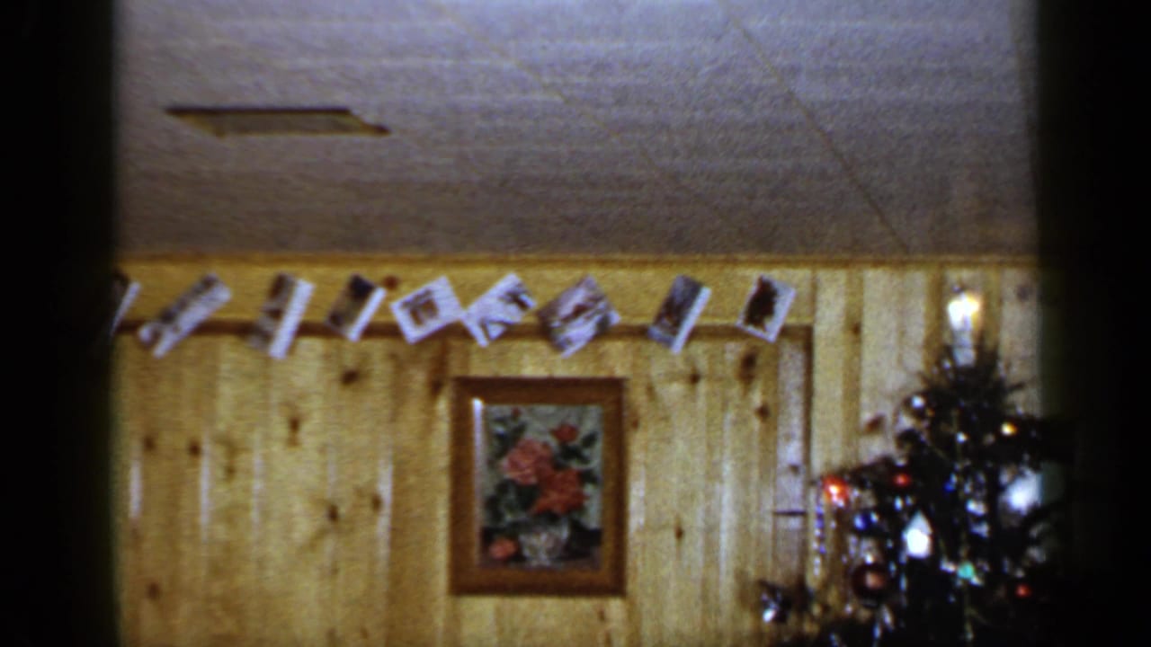 Wood-paneled room with hanging photos, framed floral picture, and part of a Christmas tree.