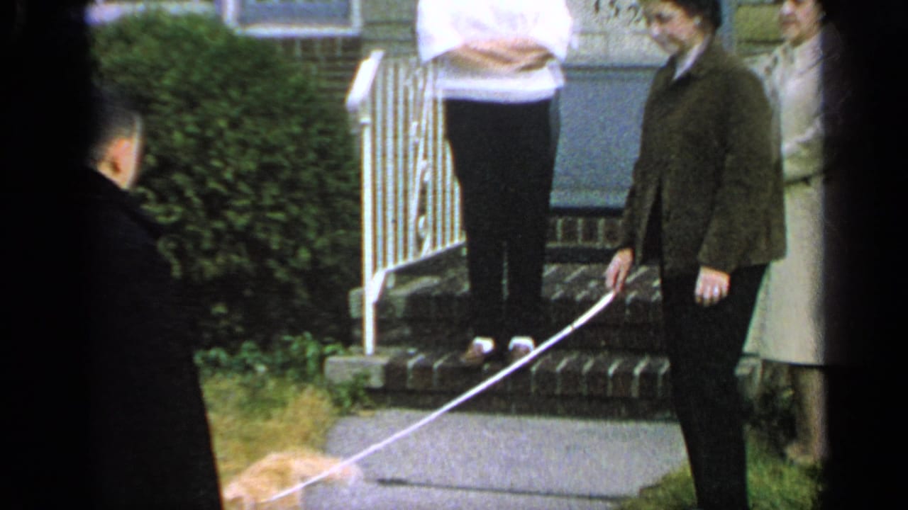 1965 Long Island home-movie frame showing adults by a house porch while a ginger cat on a leash walks across the foreground.