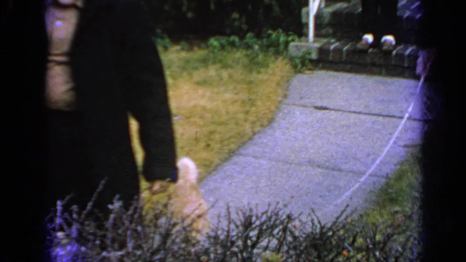 Home-movie frame from Long Island in 1965 showing a person leading a ginger cat near shrubs and a residential walkway.