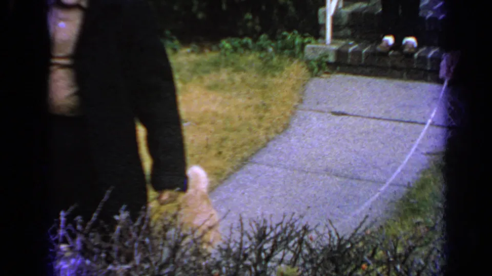 1965 Long Island home-movie frame showing the leashed ginger cat near a sidewalk, lawn, and porch area outside a house.
