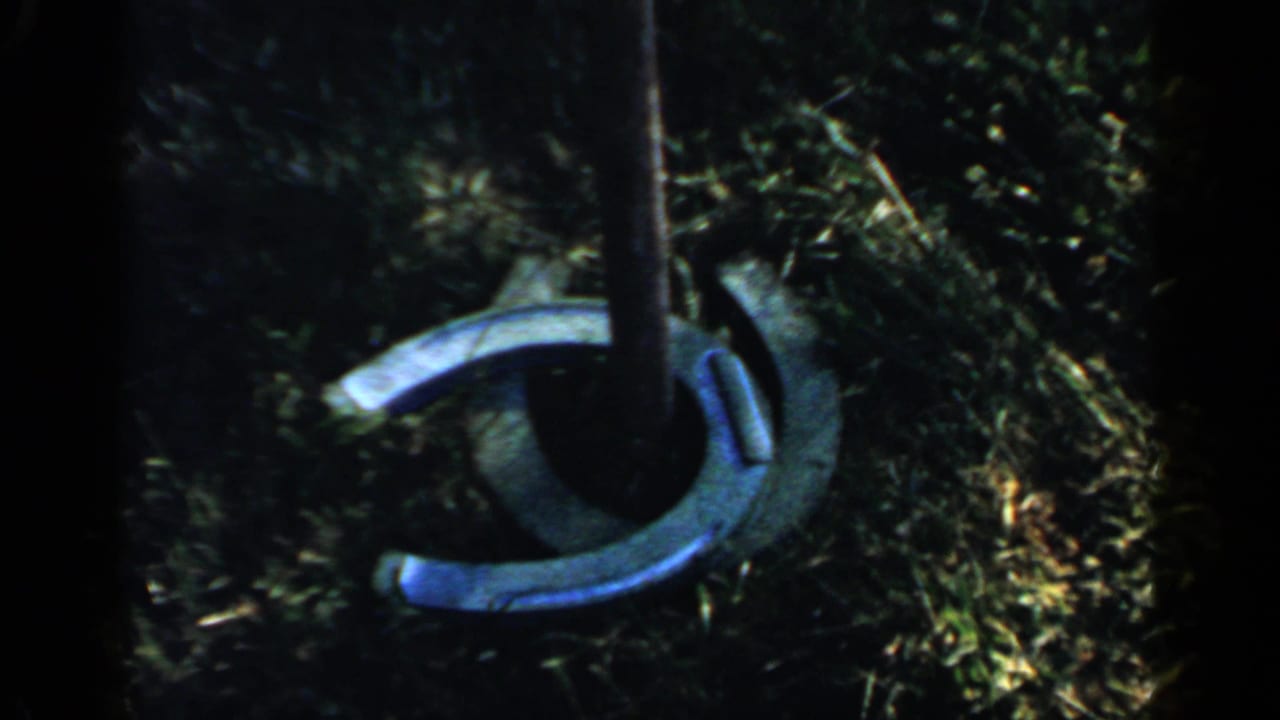 Horseshoes hang around a metal stake in grass beside leafy shrubs.